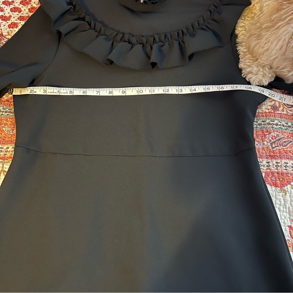 Black Ruffle Mock Neck Long Sleeve Mini Dress - Picture 13 of 15